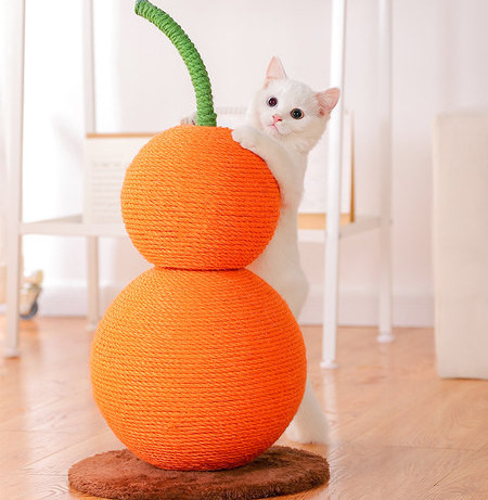 Scratcher kassidele - kaks mudelit