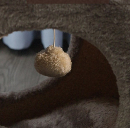 Scarlet pentru pisici-diferite modele