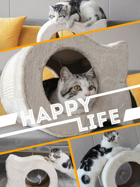 Scarlet pentru pisici-diferite modele