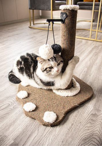 Grebalica za mačke - više modela