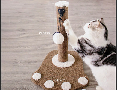 Grebalica za mačke - više modela