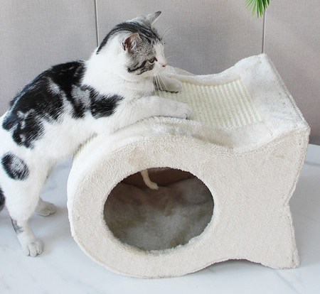 Scarlet pentru pisici in diferite marimi si modele