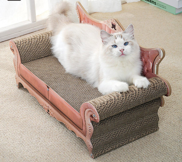 Scratch ja kassi voodi – 2 ühes