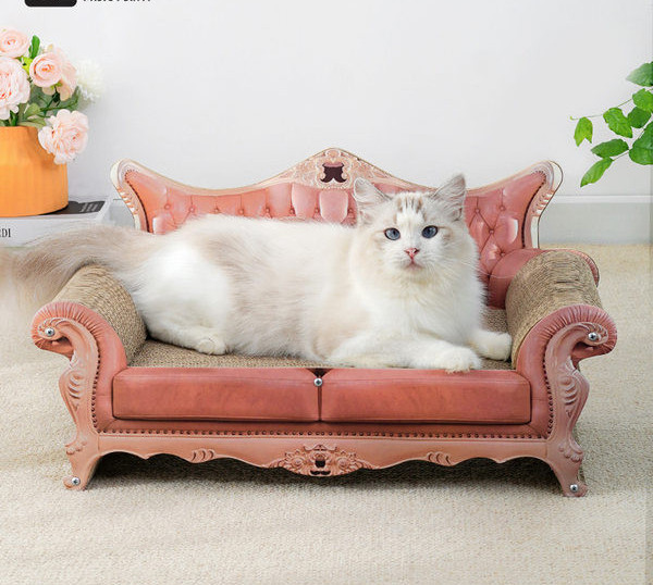 Scratch ja kassi voodi – 2 ühes