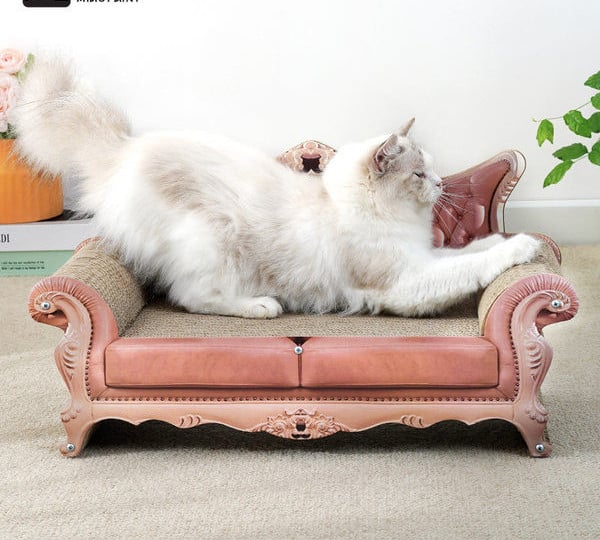 Scratch ja kassi voodi – 2 ühes