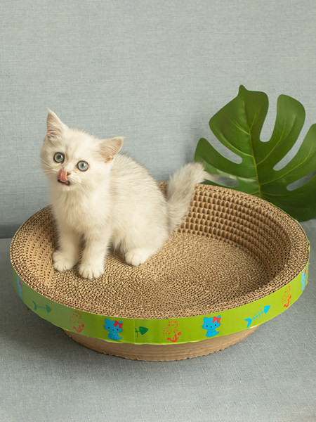 Scarlet pisici din hartie ondulata - mai multe modele