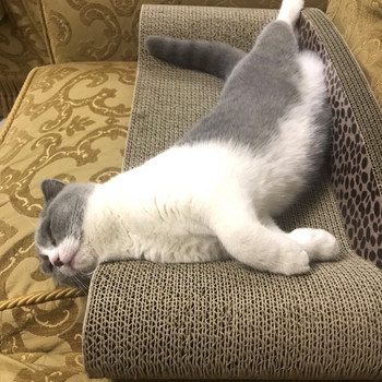 Κρεβάτι τύπου ξύστρας γάτας
