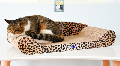 Cat scratcher tüüpi voodi