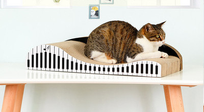 Cat scratcher tüüpi voodi