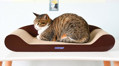 Cat scratcher tüüpi voodi