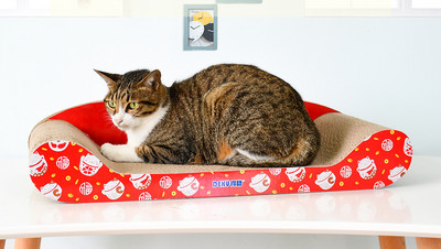 Cat scratcher tüüpi voodi