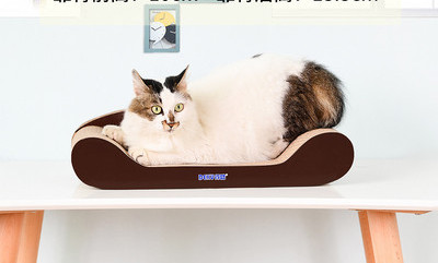 Cat scratcher tüüpi voodi