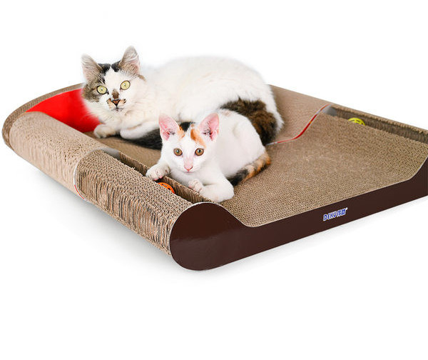 Pat tip zgarietor pisici