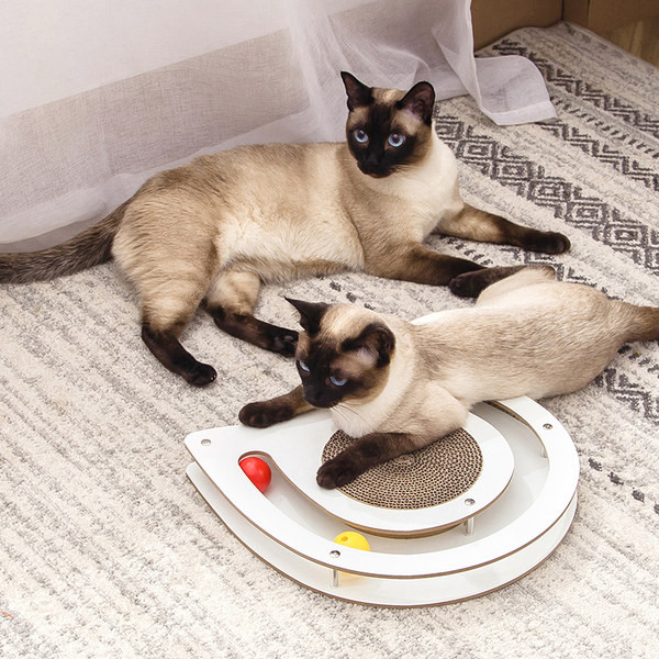 Scratcher pentru pisici - diferite modele