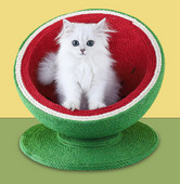 Στρογγυλή ξύστρα γάτας