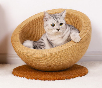 Στρογγυλή ξύστρα γάτας