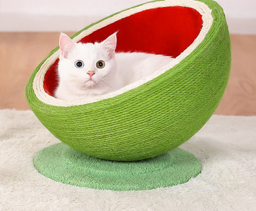 Στρογγυλή ξύστρα γάτας