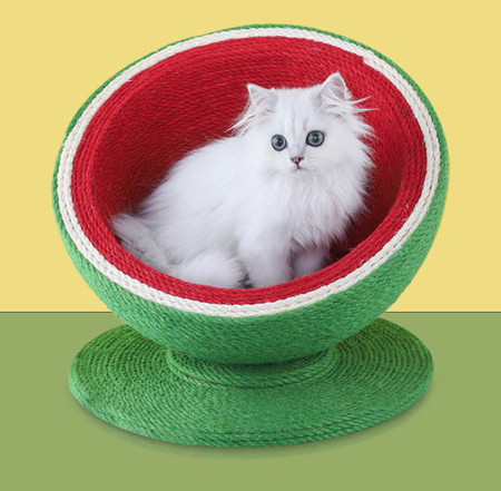 Στρογγυλή ξύστρα γάτας