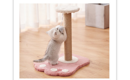 Ξύστρα γάτας από ξύλο και σιζάλ