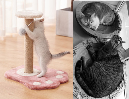 Ξύστρα γάτας από ξύλο και σιζάλ