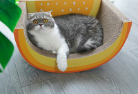 Pat de hartie de zgariat din hartie ondulata pentru pisici