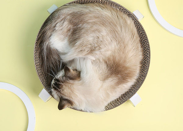 Mâzgălitor din hârtie ondulată cu zonă de dormit