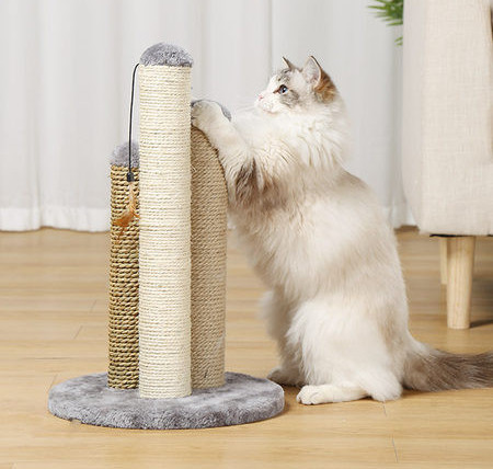 Ripatsiga kraabits kassidele