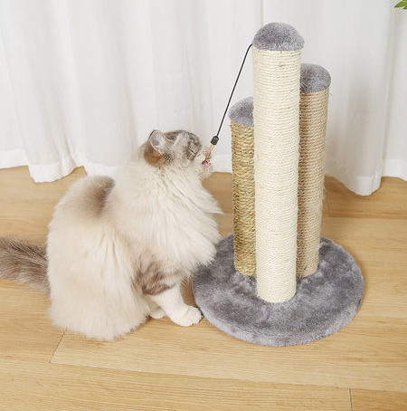 Ripatsiga kraabits kassidele