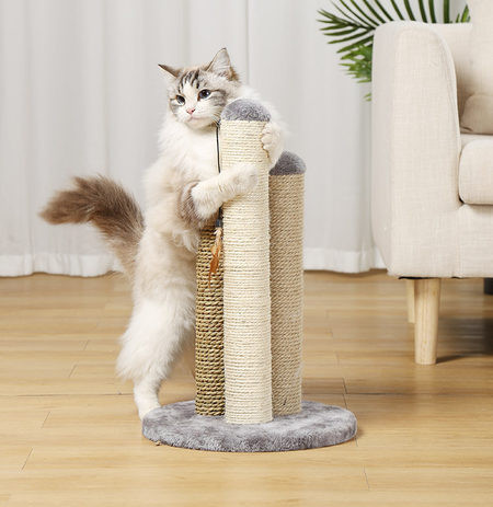 Ripatsiga kraabits kassidele