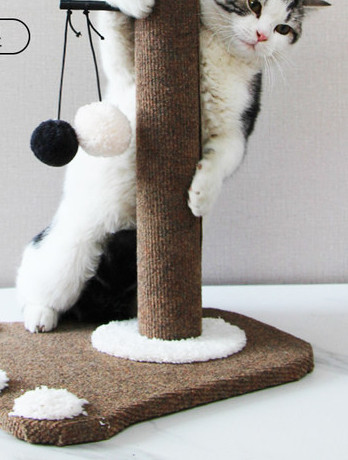 Παιχνίδι για ξύσιμο για γάτες