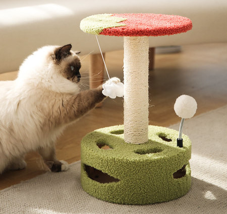 Scratcher kassidele - mitu mudelit