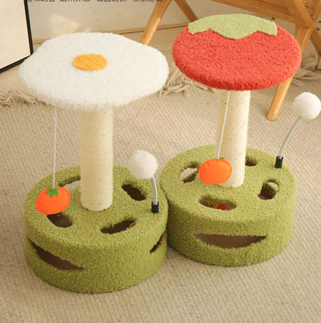 Scratcher kassidele - mitu mudelit