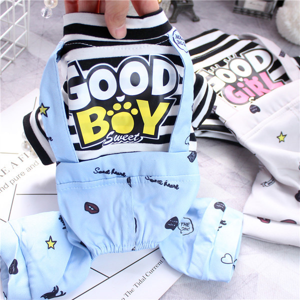 Haina pentru câini cu o inscripție