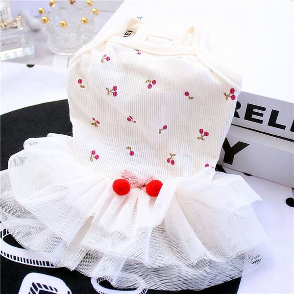 Kleit koertele tülliga