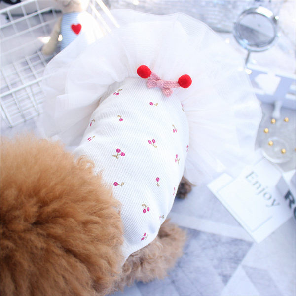 Kleit koertele tülliga