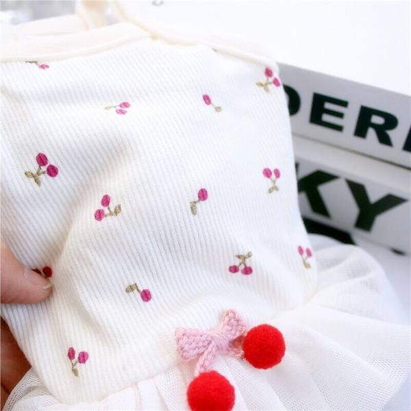 Kleit koertele tülliga