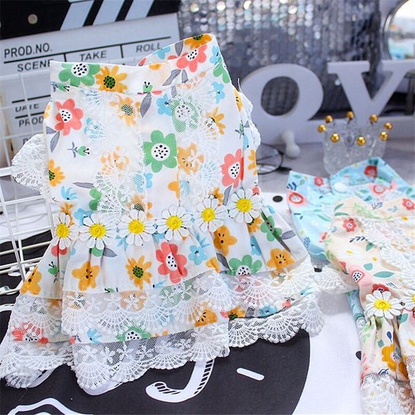 Lillemustri ja pitsiga kleit koertele