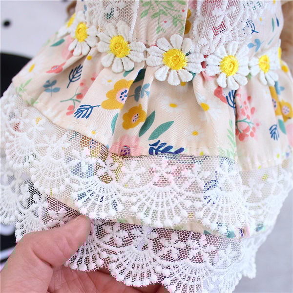 Lillemustri ja pitsiga kleit koertele