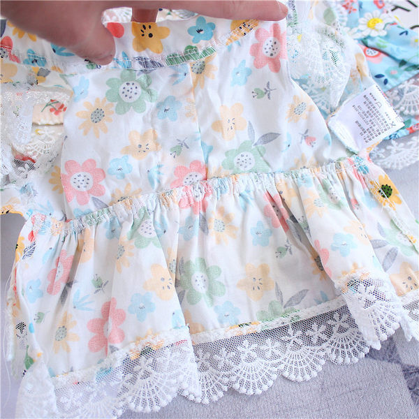 Lillemustri ja pitsiga kleit koertele