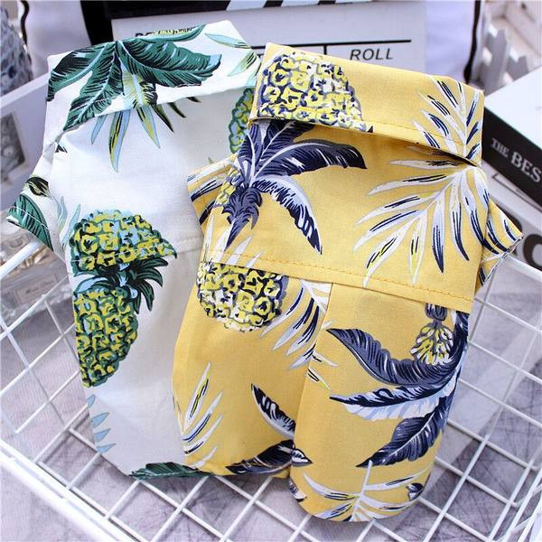 Mustriga suvesärk koertele