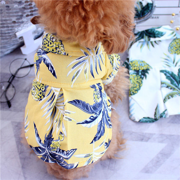 Mustriga suvesärk koertele