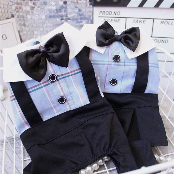 Costum sau rochie în carouri pentru câini