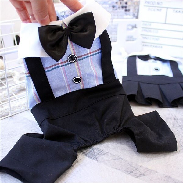 Costum sau rochie în carouri pentru câini