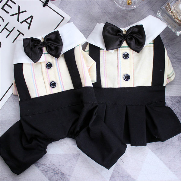 Costum sau rochie în carouri pentru câini