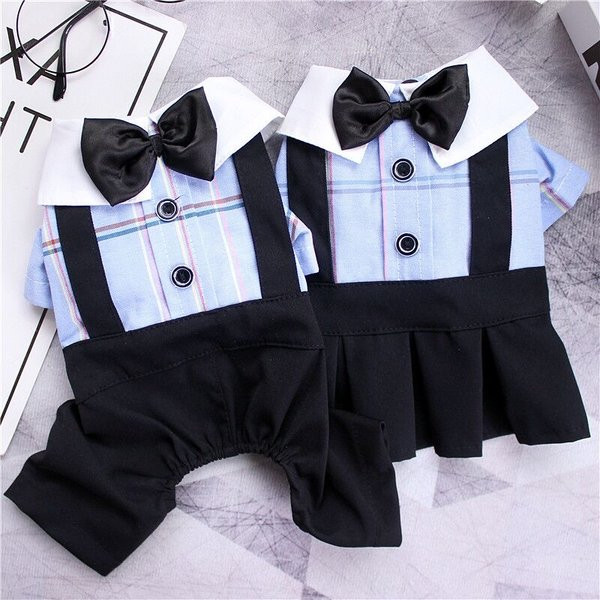 Costum sau rochie în carouri pentru câini