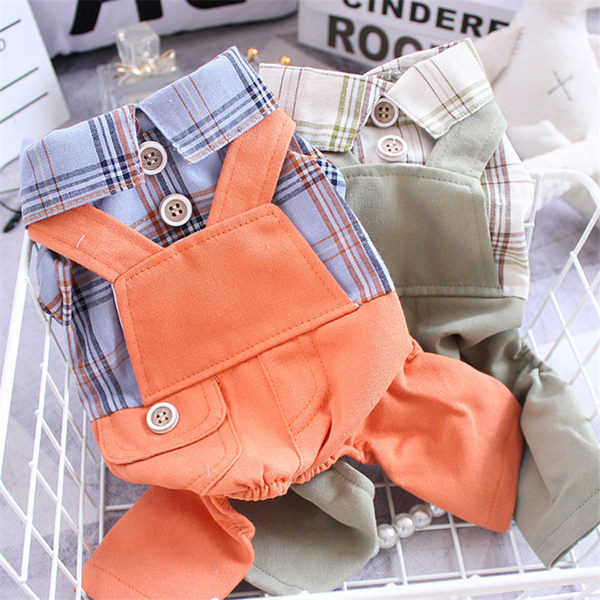 Salopeta pentru caini cu camasa in carouri