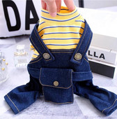 Denimkombinesoon koertele