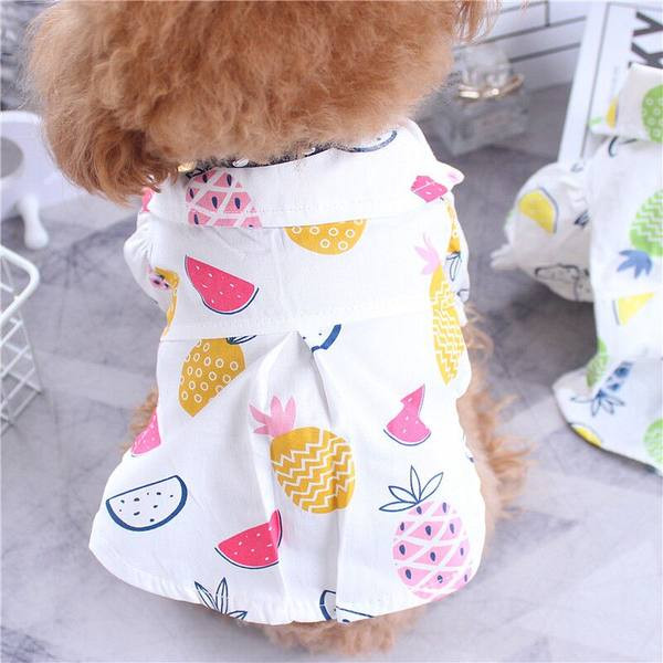 Cămașă de vară pentru câine cu model colorat