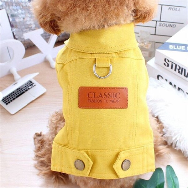 Kolmes värvitoonis nööpidega teksajakk koertele