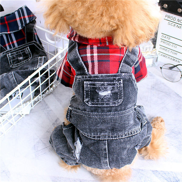 Salopetă din denim pentru un câine